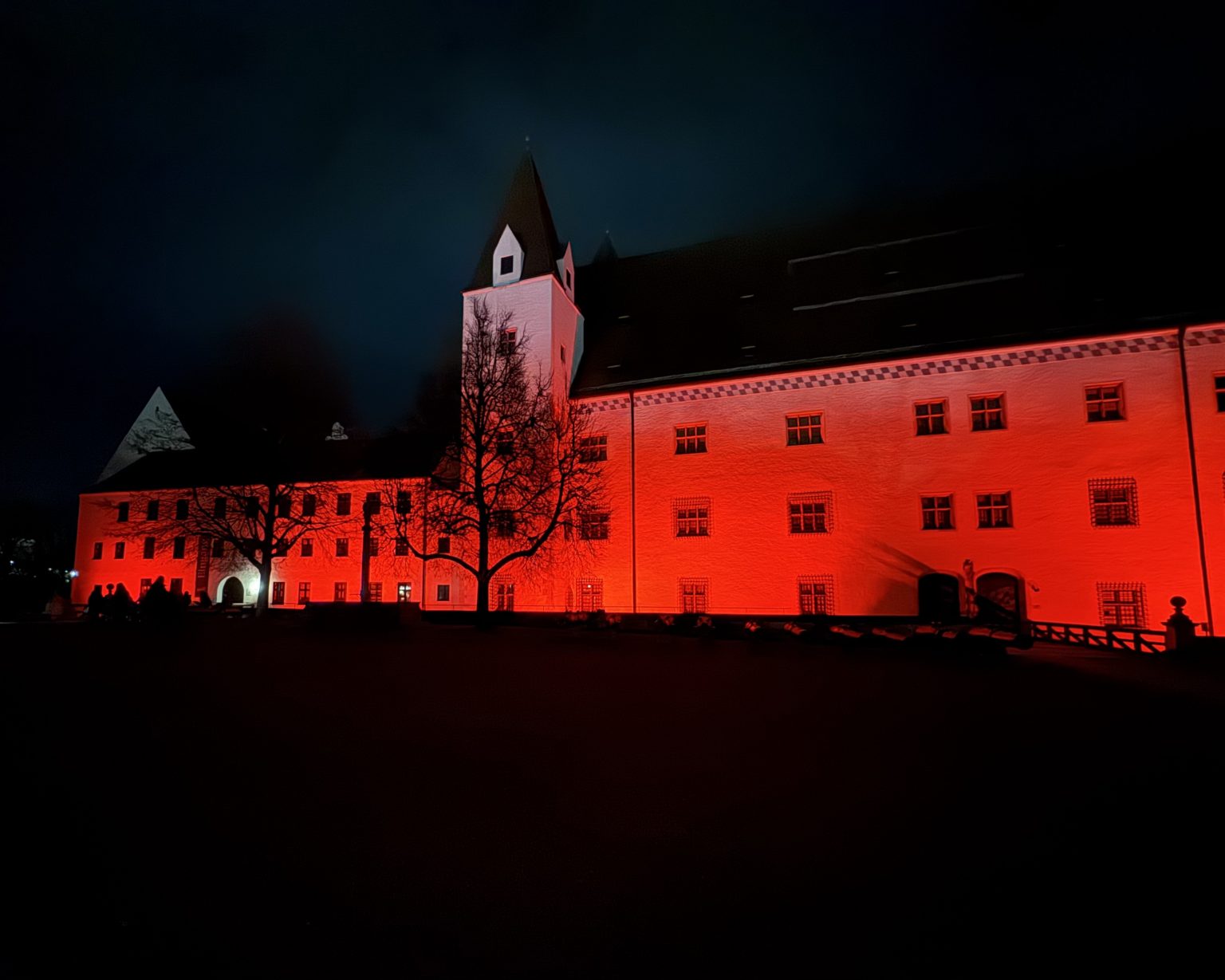 Bild 1 für Referenz Frankensteinnacht