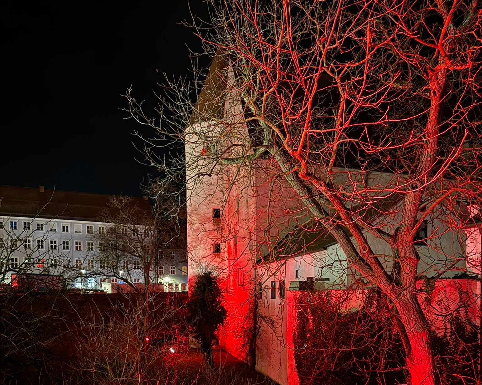 Bild 5 für Referenz Frankensteinnacht