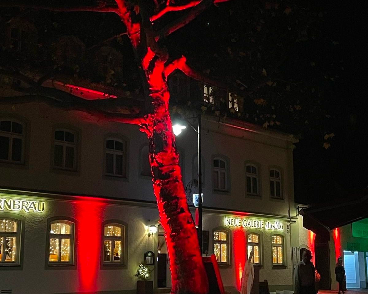 Bild 8 für Referenz Frankensteinnacht